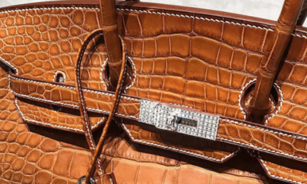 El bolso Birkin de Hermès